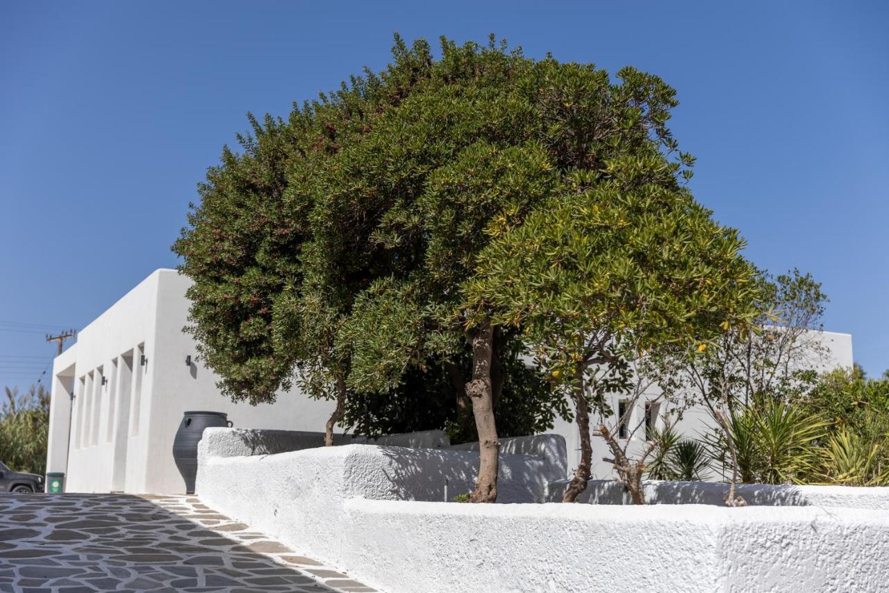 Naxos Green Village Hotel Naxos City Exterior foto